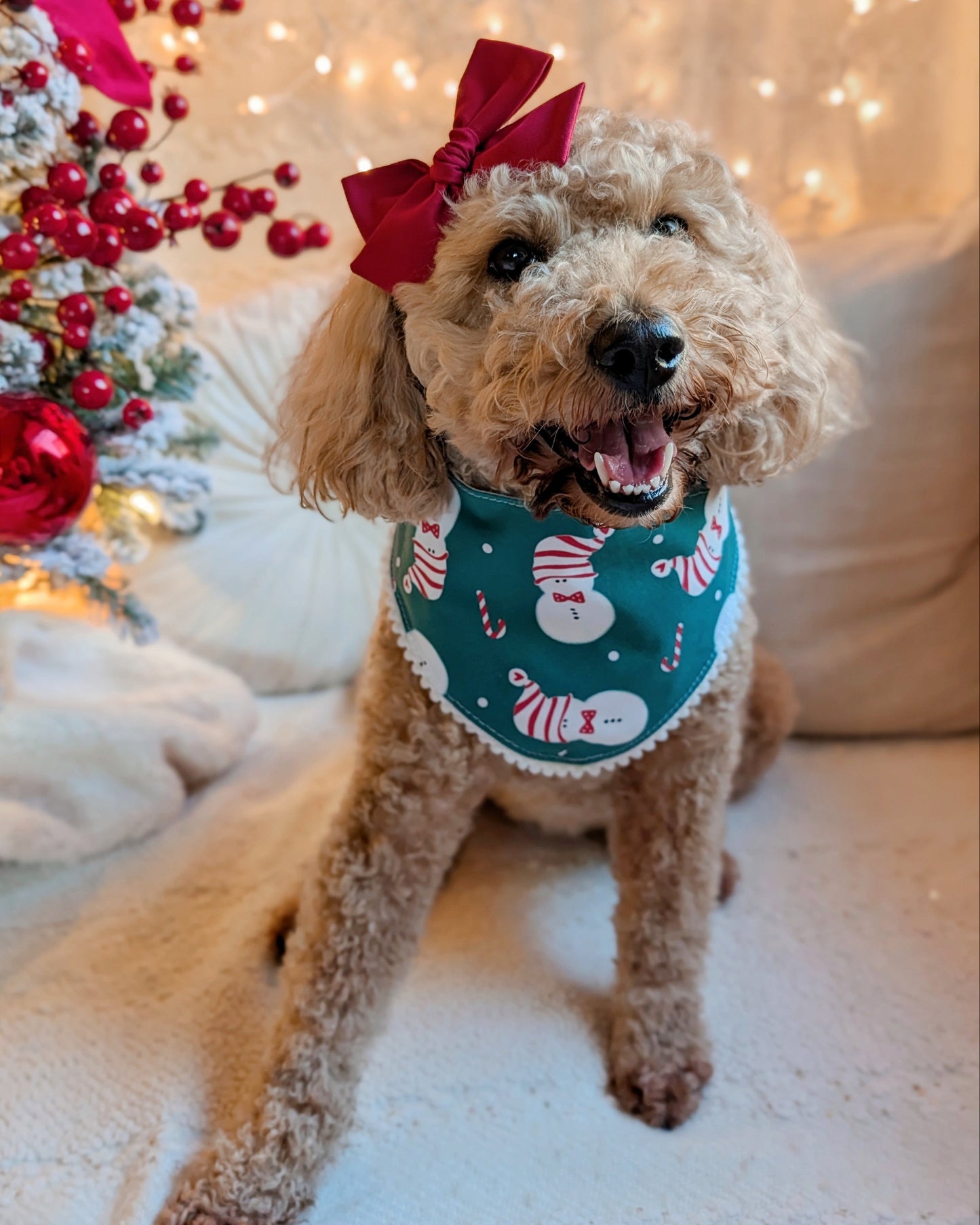 Dog wearing a festive bandana and bow tie in front of a Christmas tree.
