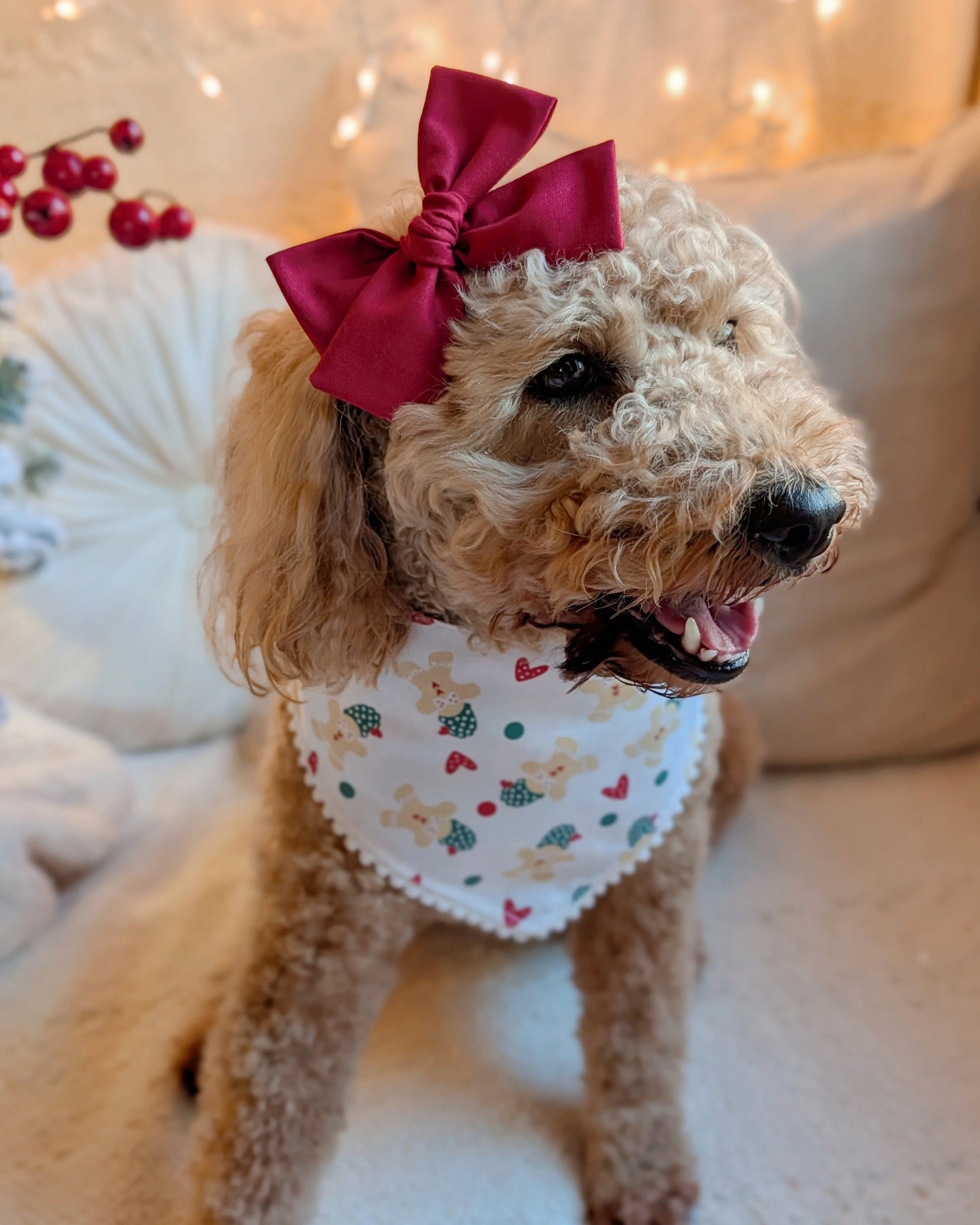 Dog wearing a red bow and polka dot bandana sitting on a couch with festive decorations.