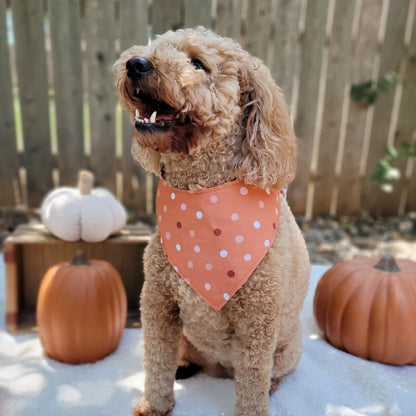 Fall Dots and Gingham Dog Bandana With Or Without Pom Pom Trim