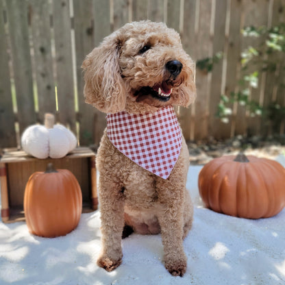 Fall Dots and Gingham Dog Bandana With Or Without Pom Pom Trim