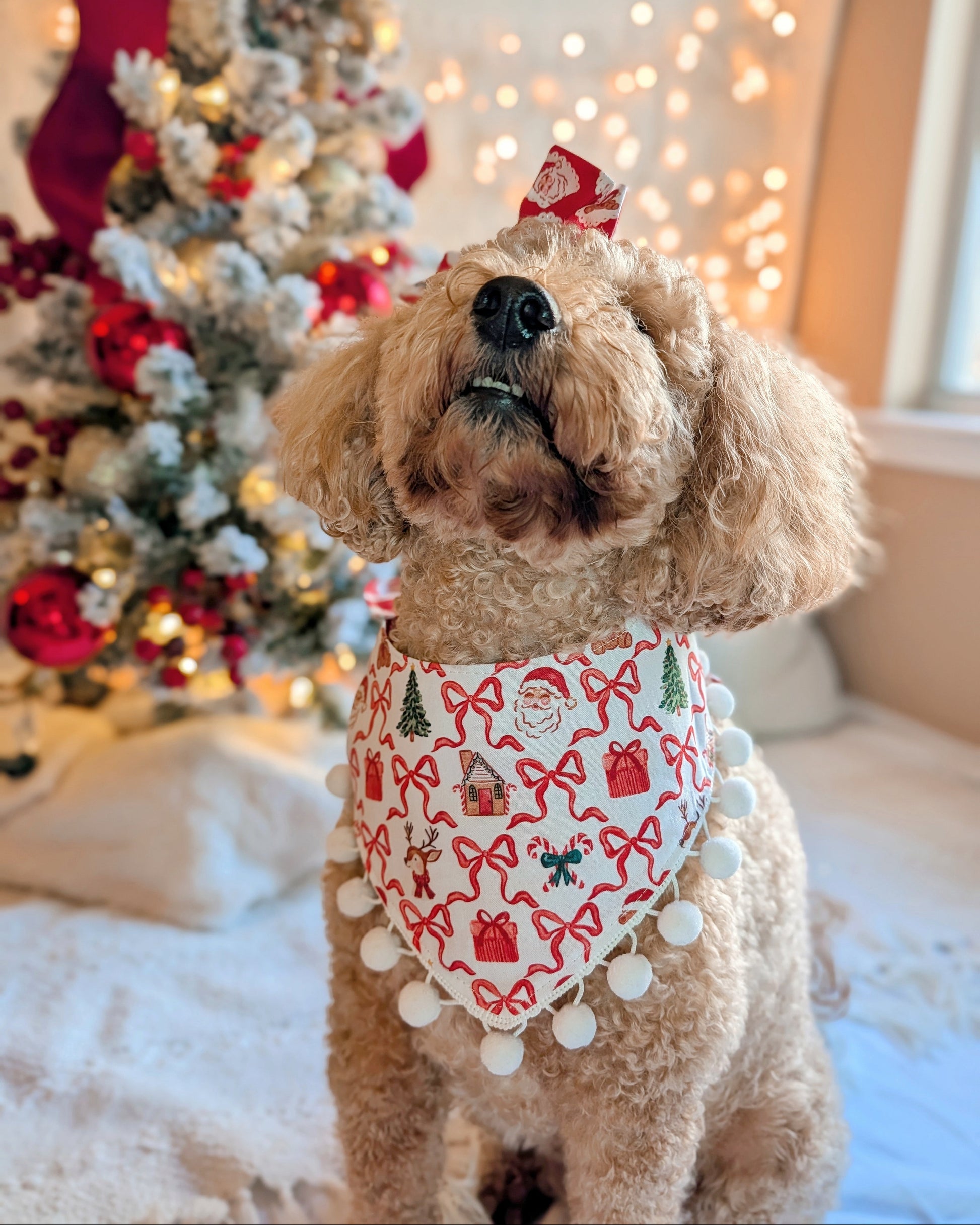Dog wearing a festive bandana in front of a decorated Christmas tree.