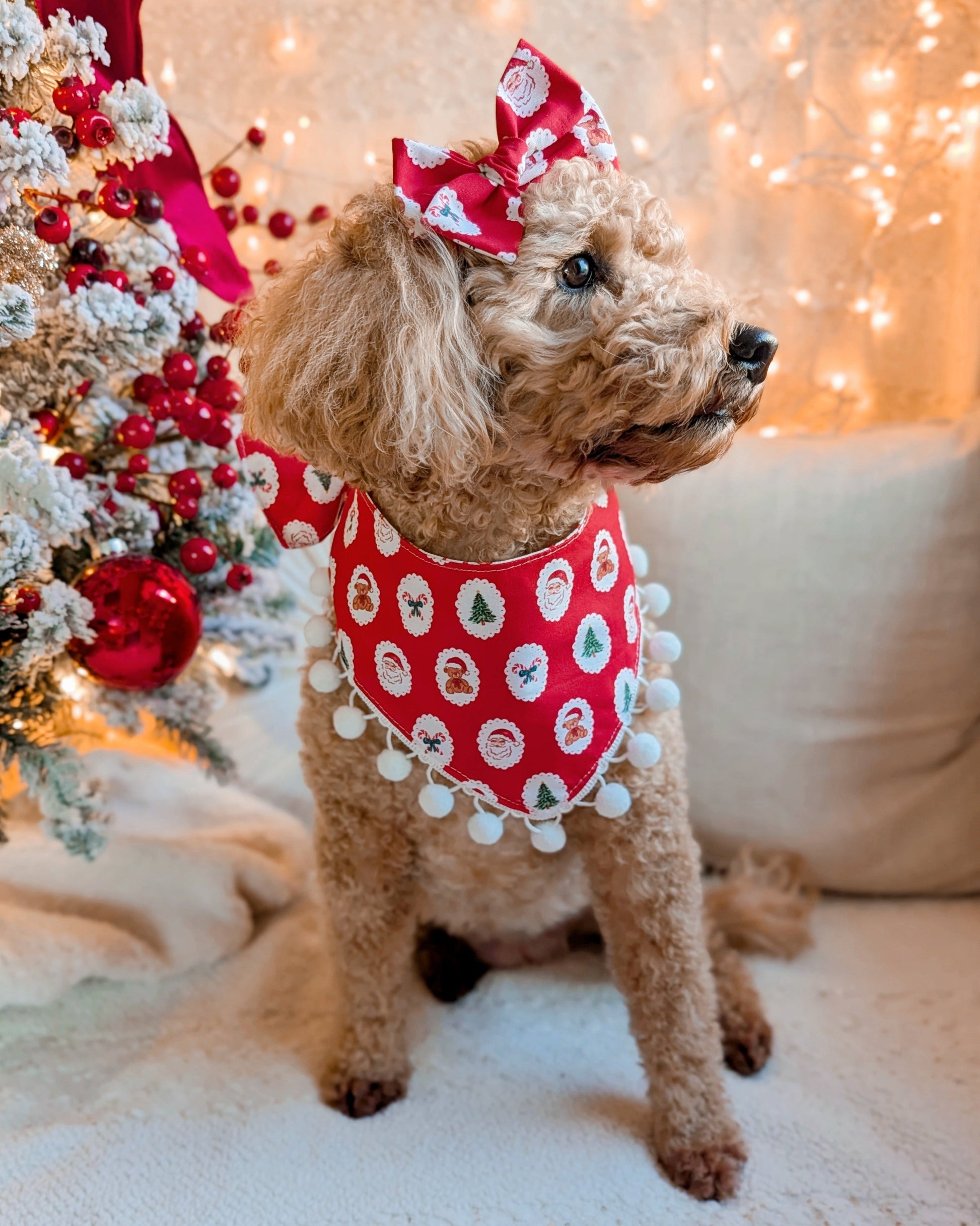 Dog wearing a red holiday bandana with white pom-poms in front of a decorated Christmas tree.