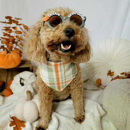 Green Happy Fall Y'all Beaded Sunglasses
