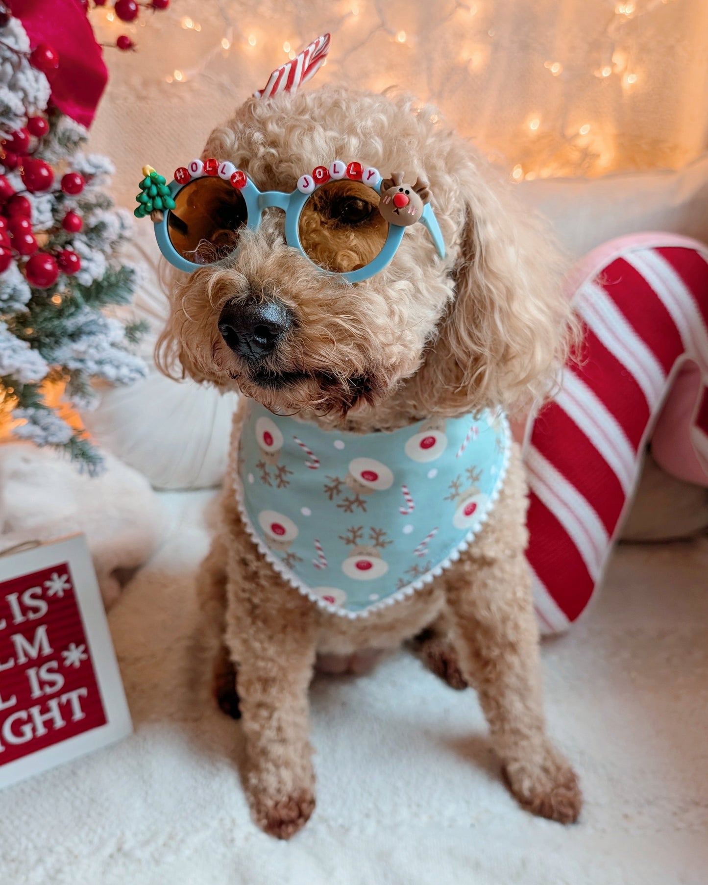 Holly Jolly Christmas Beaded Sunglasses