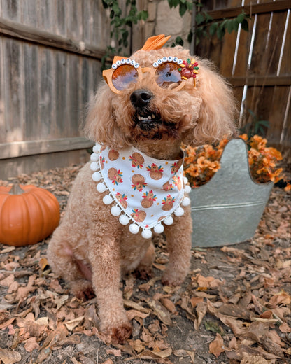Dog wearing sunglasses and a bandana in an outdoor setting with pumpkins and leaves.