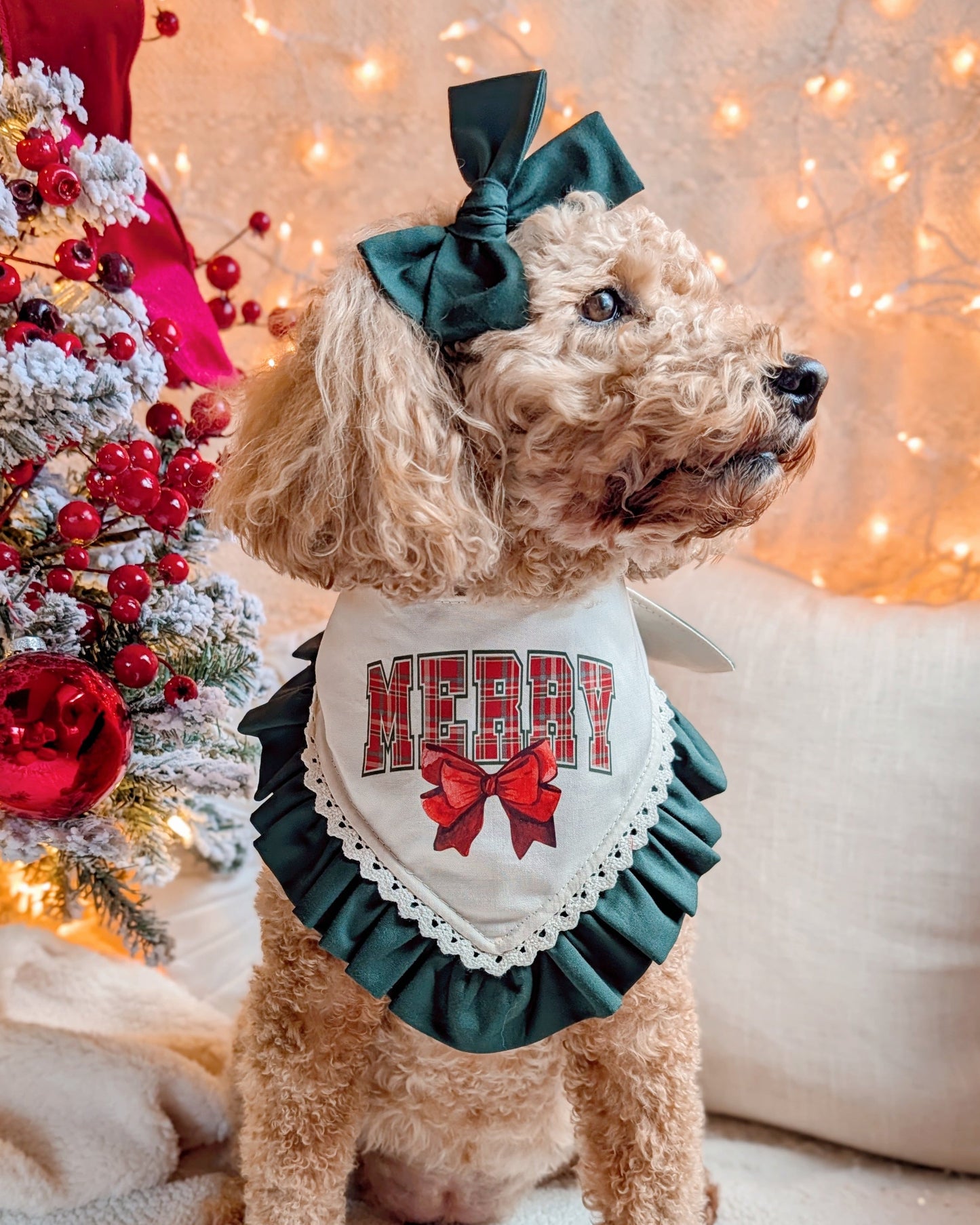 Dog wearing a Christmas-themed bandana with a bow, standing in front of a decorated Christmas tree.