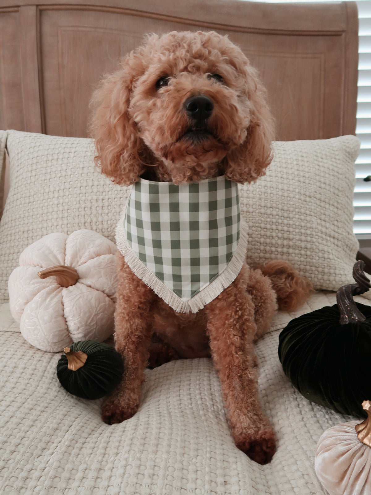 Olive Autumn Doodles Dog Bandana