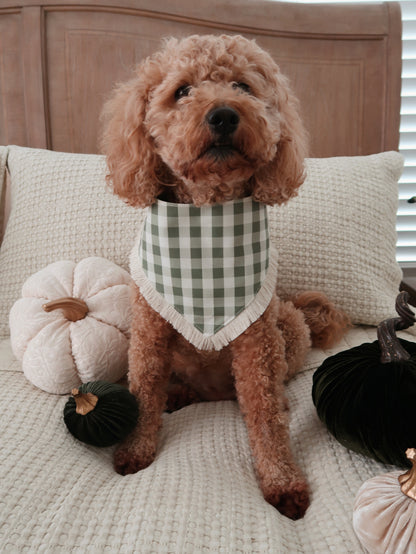 Olive Autumn Doodles Dog Bandana