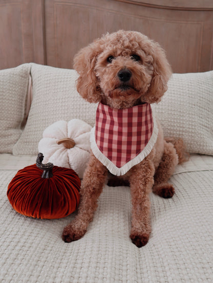 Pink Autumn Doodles Bandana