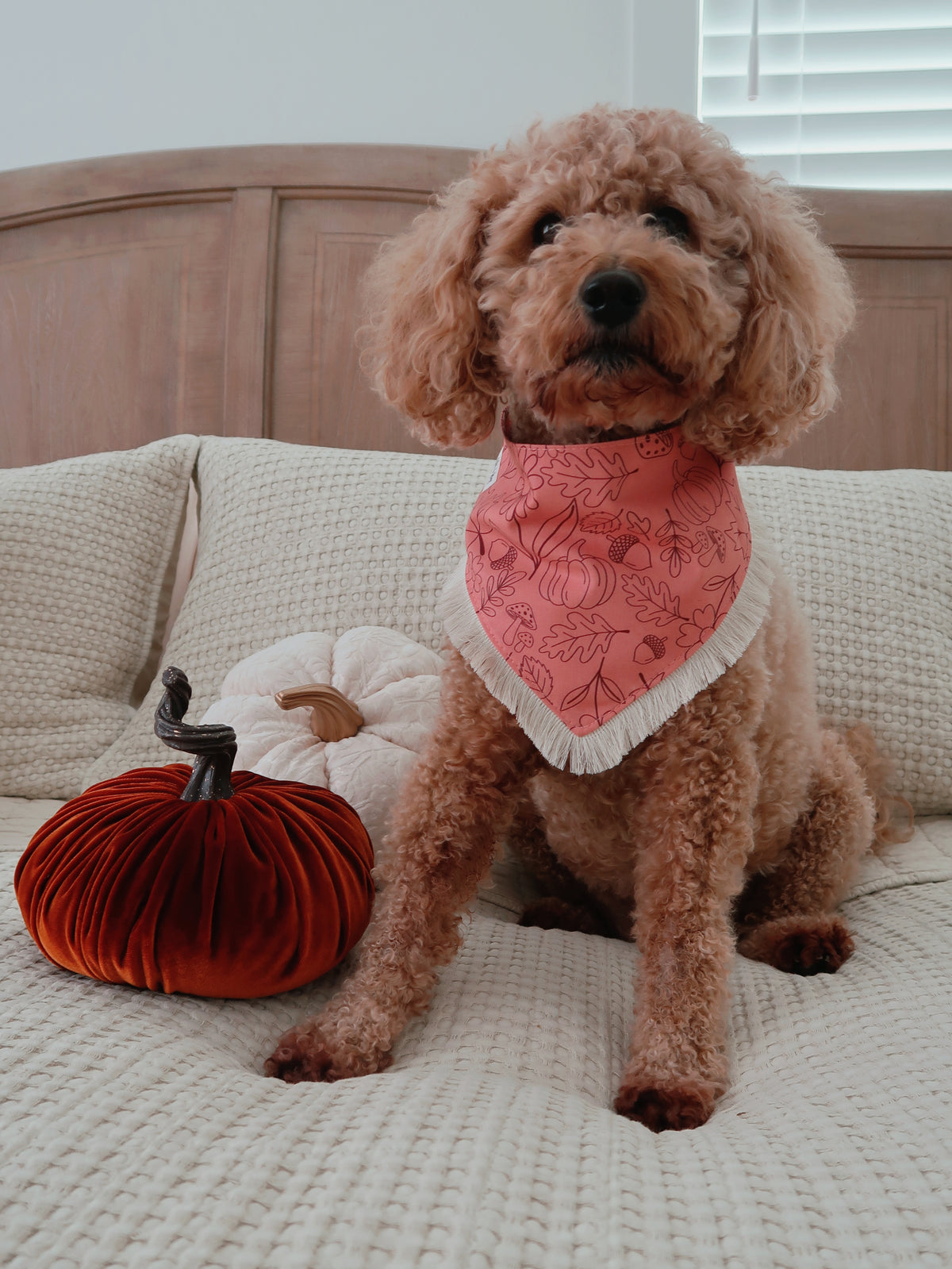 Pink Autumn Doodles Bandana