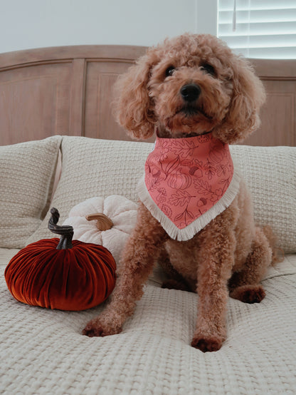 Pink Autumn Doodles Bandana