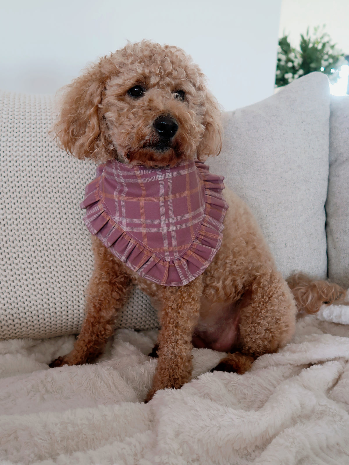 Plum Plaid Dog Bandana