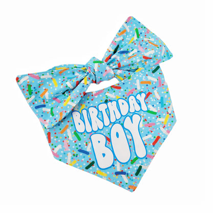 Blue Sprinkle Birthday/Gotcha Day Dog Bandana