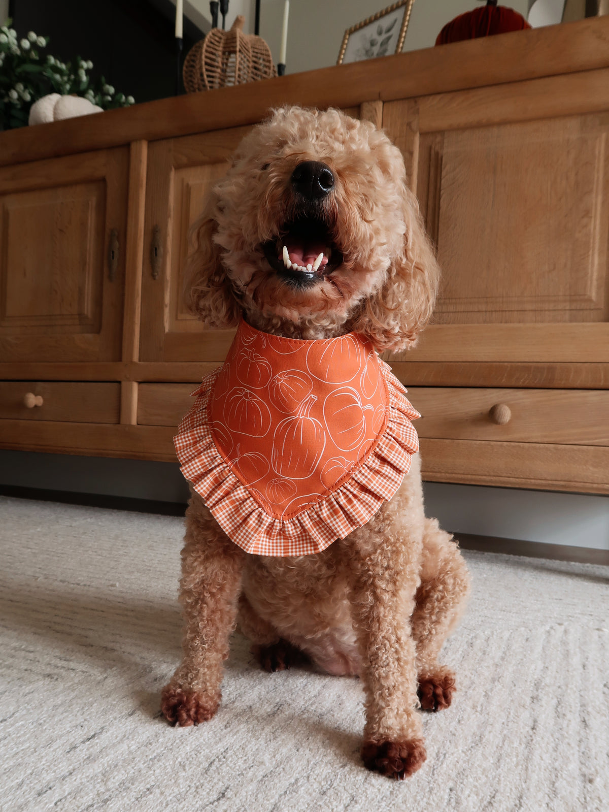 Pumpkin Dog Bandana