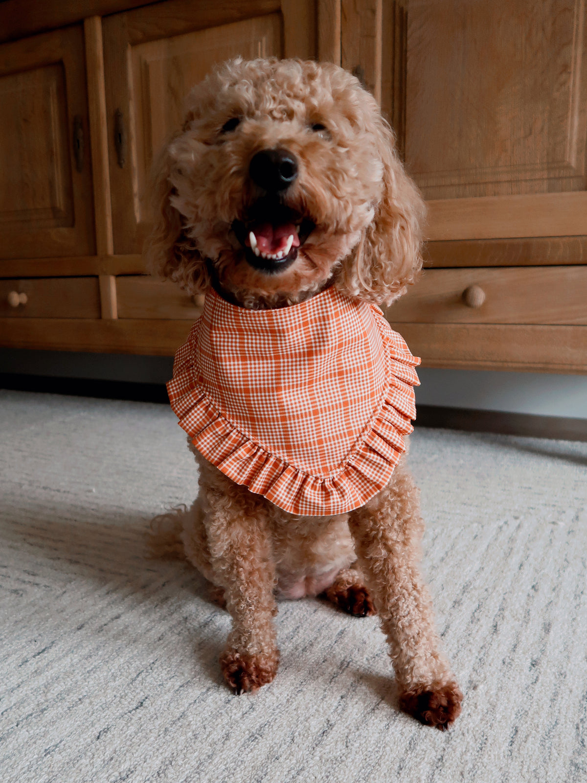 Pumpkin Dog Bandana