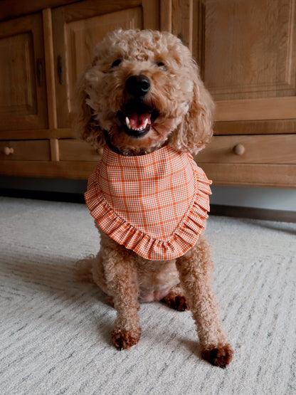 Pumpkin Dog Bandana