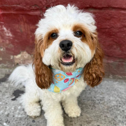 Pool Day Dog Bandana