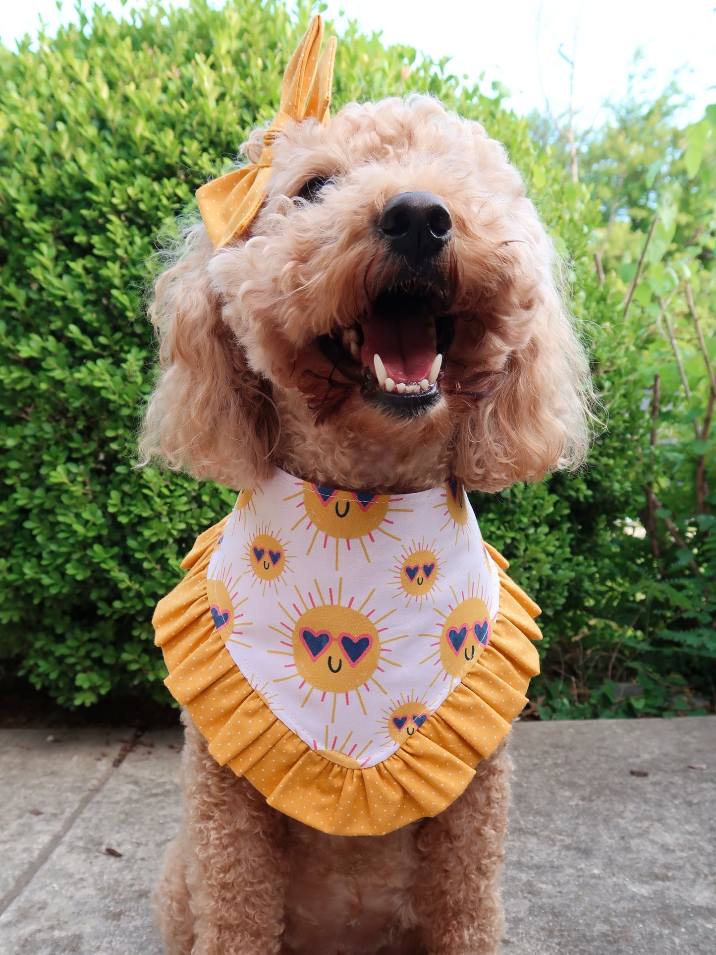 Suns in Shades Dog Bandana