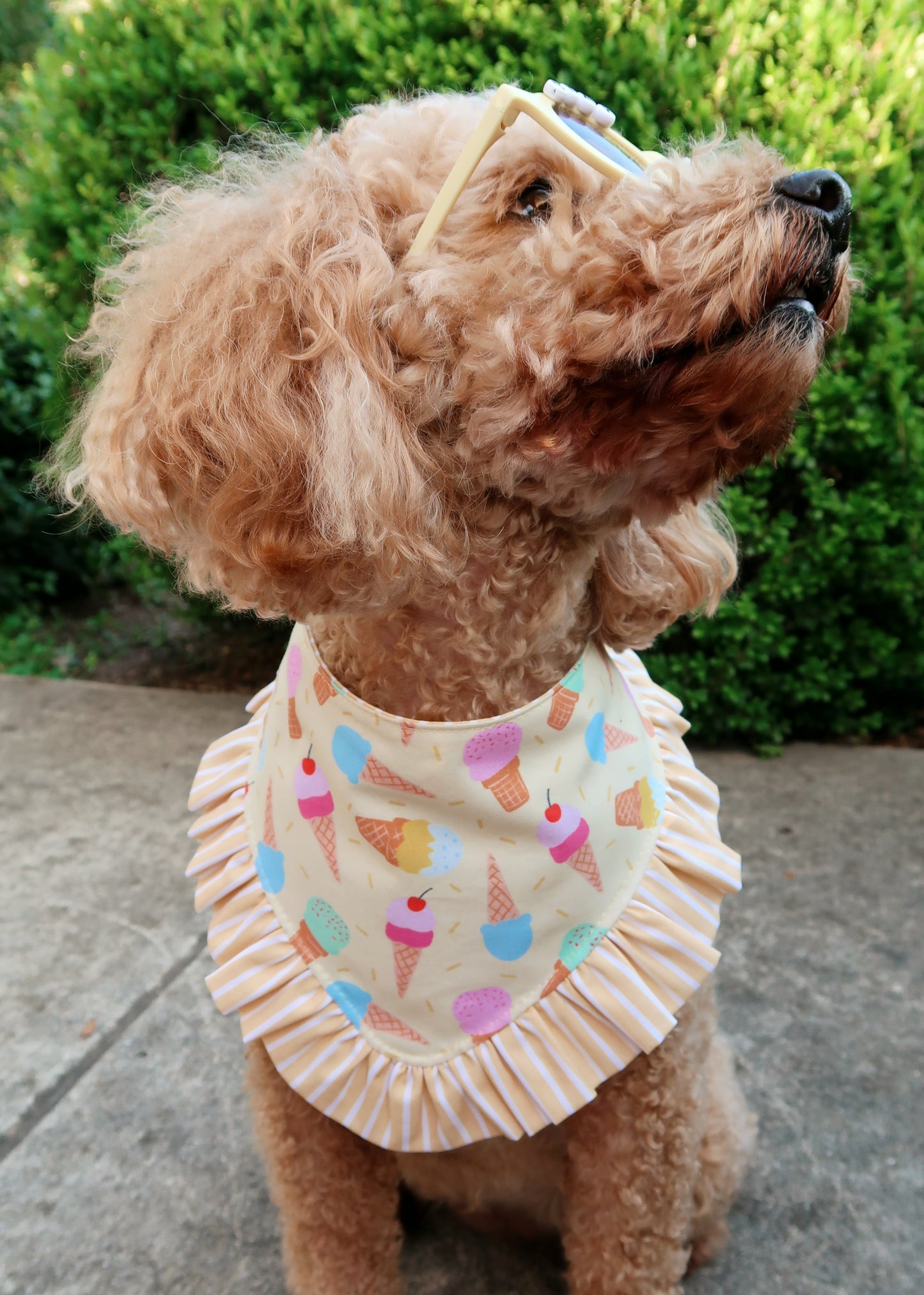 Summer Ice Cream Dog Bandana