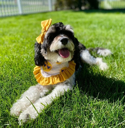Suns in Shades Dog Bandana