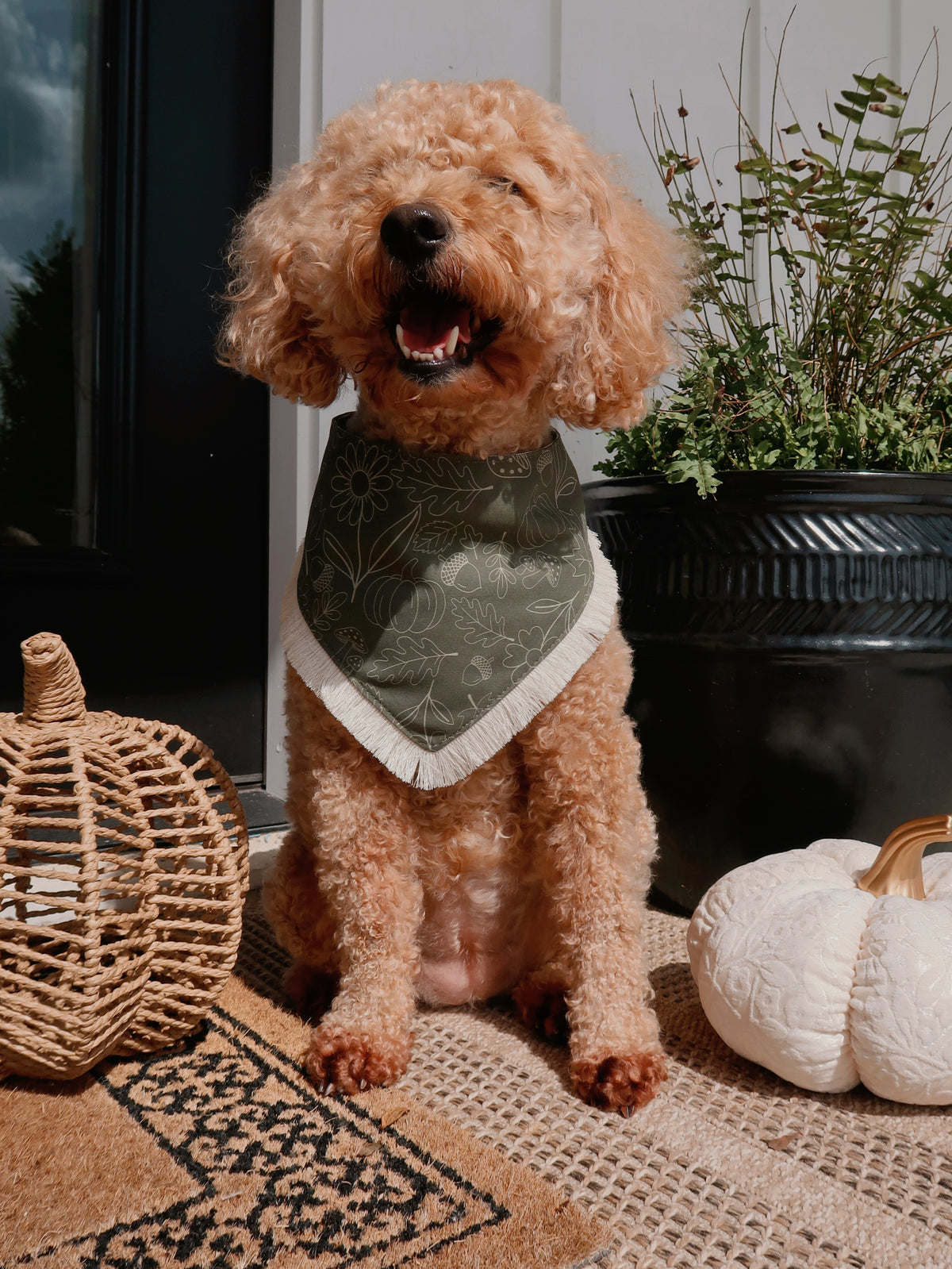 Olive Autumn Doodles Dog Bandana