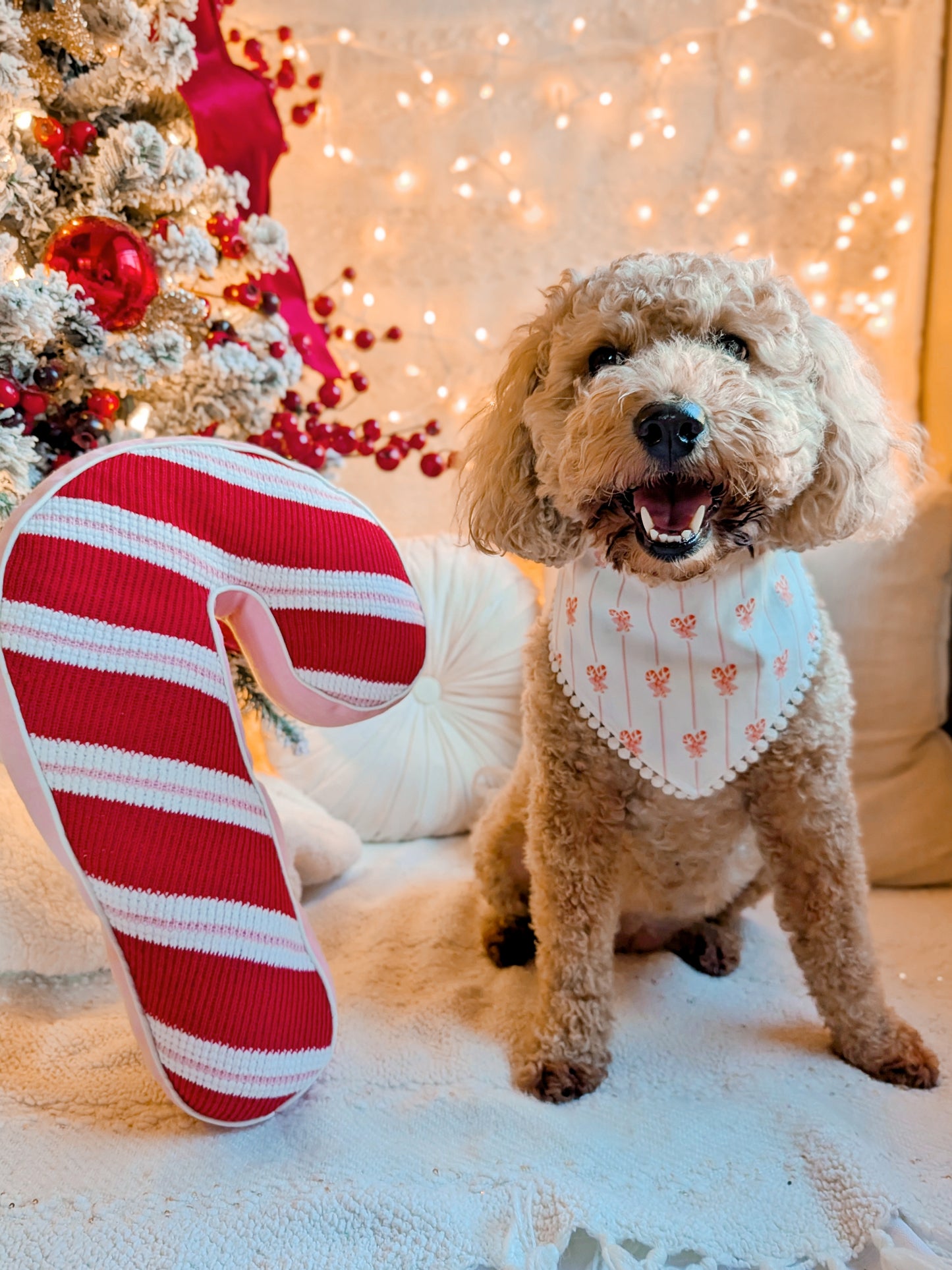 Coquette Christmas Tree and Candy Cane Reversible Dog Bandana With Flat Pom Pom Trim
