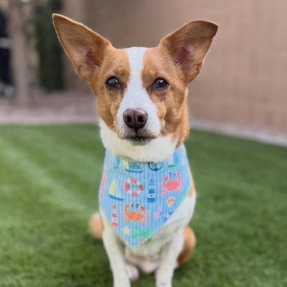 Nautical Seaside Dog Bandana