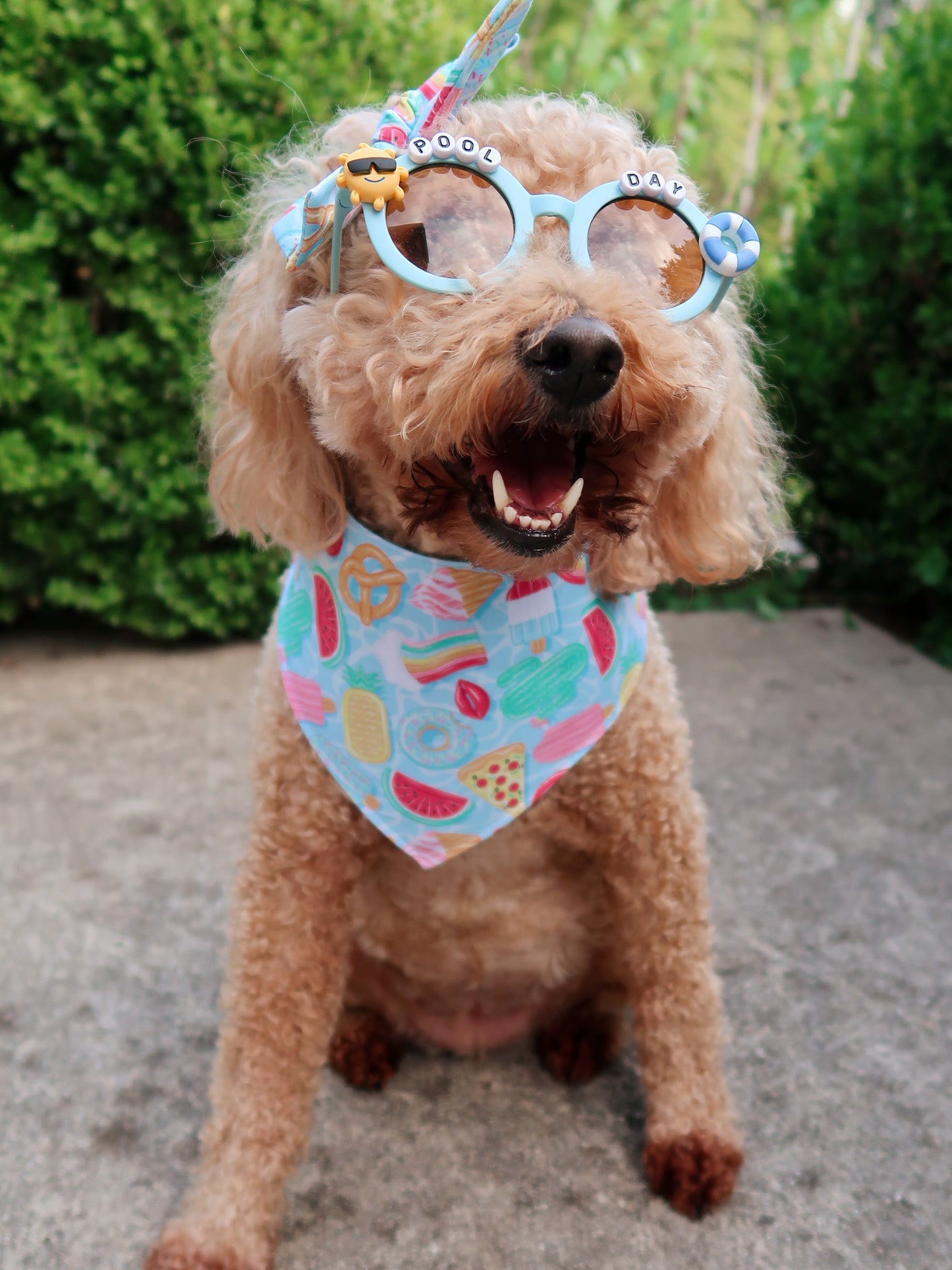 Pool Day Dog Bandana