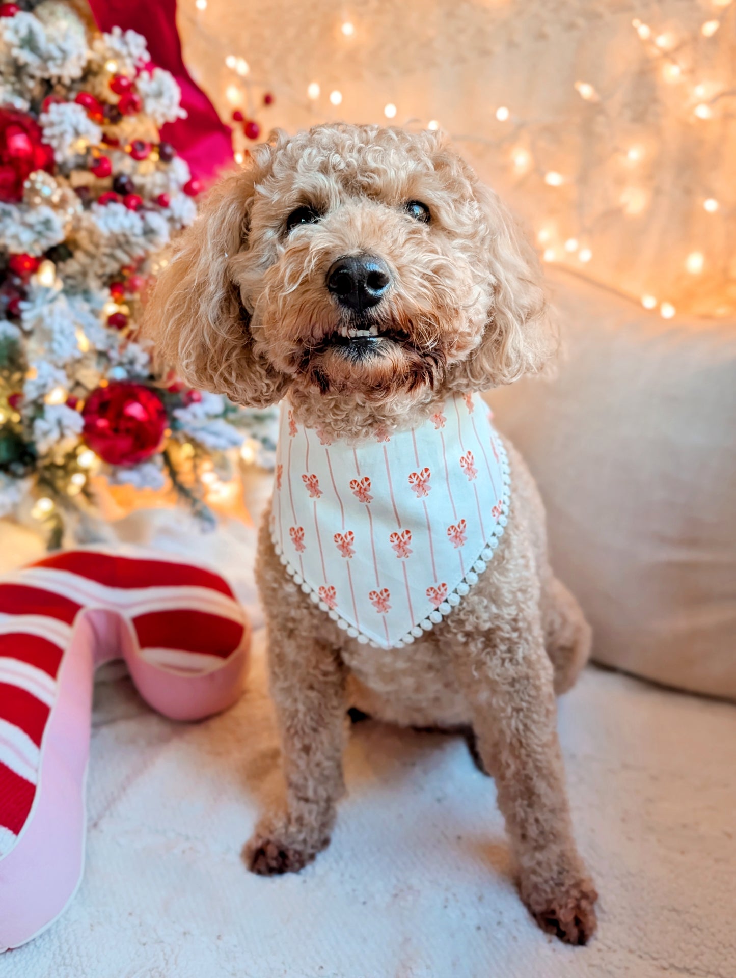 Coquette Christmas Tree and Candy Cane Reversible Dog Bandana With Flat Pom Pom Trim