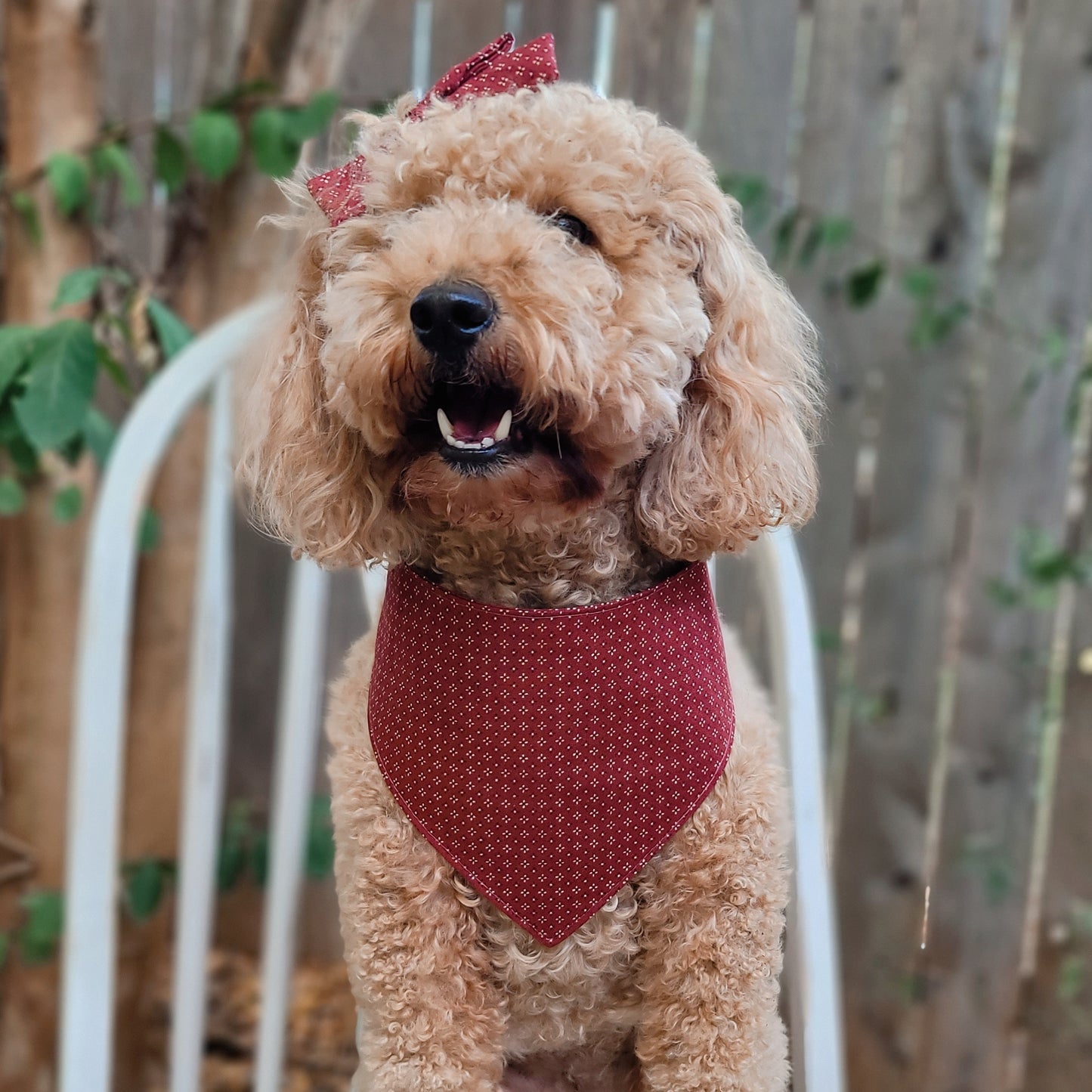 Cinnamon Spice Dog Bandana