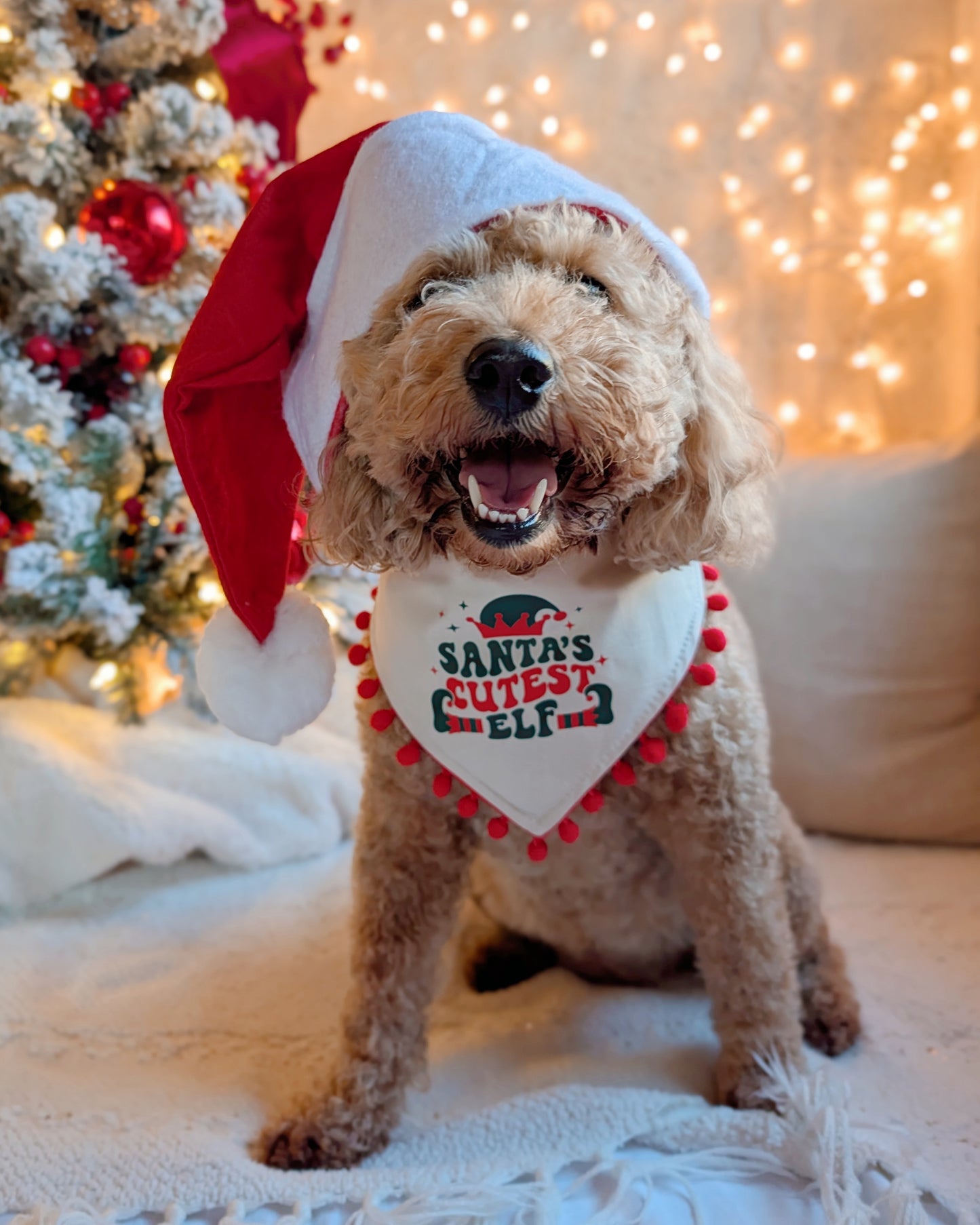 Santa's Cutest Elf Reversible Dog Bandana With Optional Pom Pom Trim