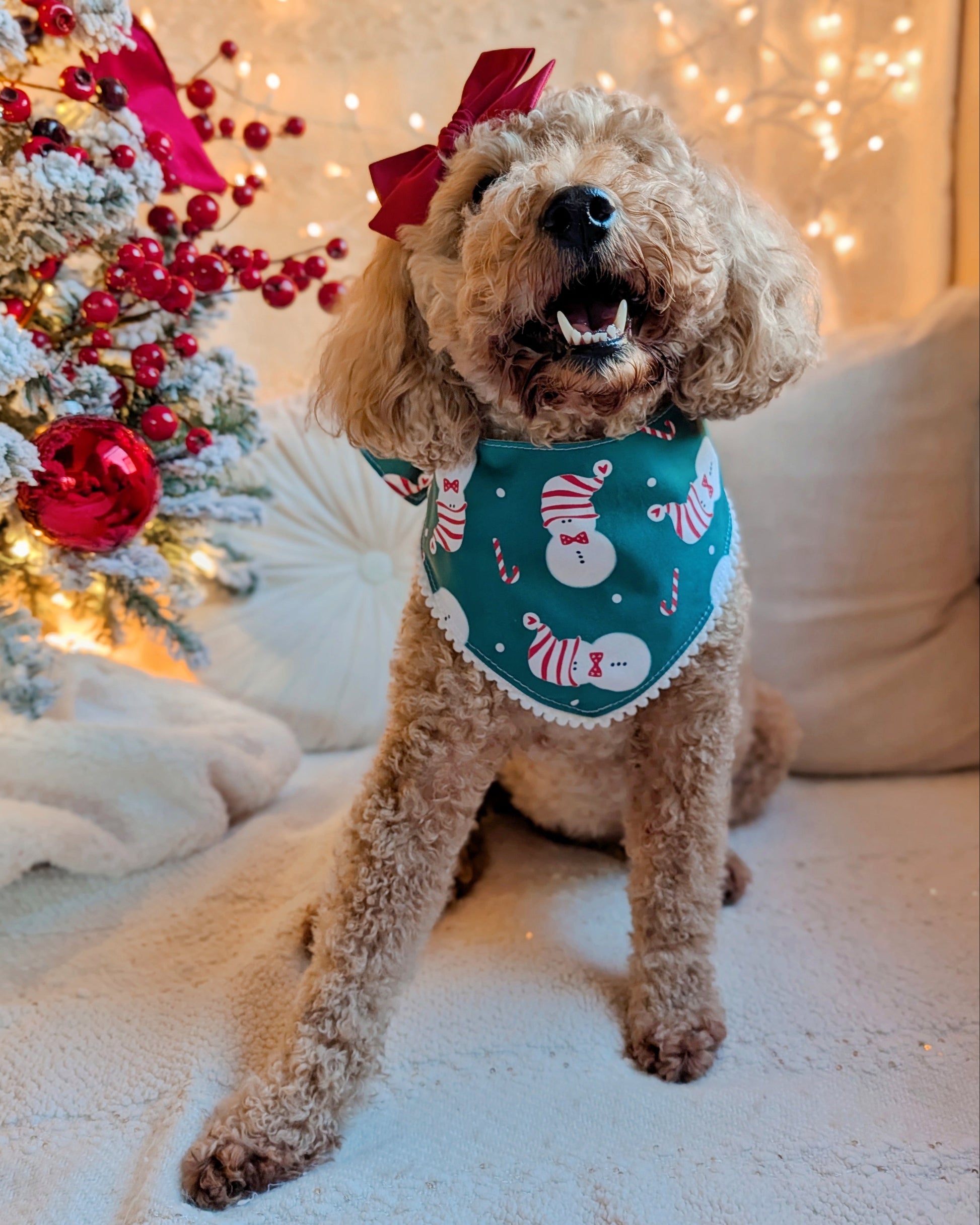 Dog wearing a festive bandana in front of a decorated Christmas tree.