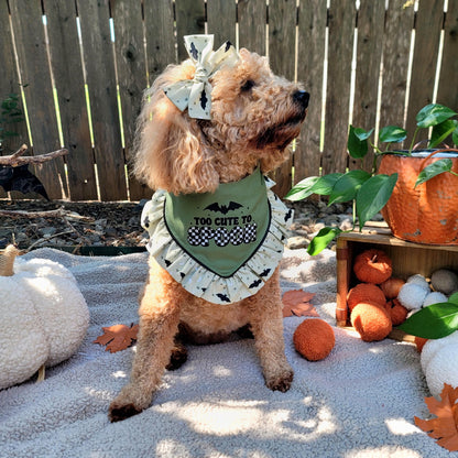 Dog wearing a Halloween-themed outfit with pumpkins and leaves in the background