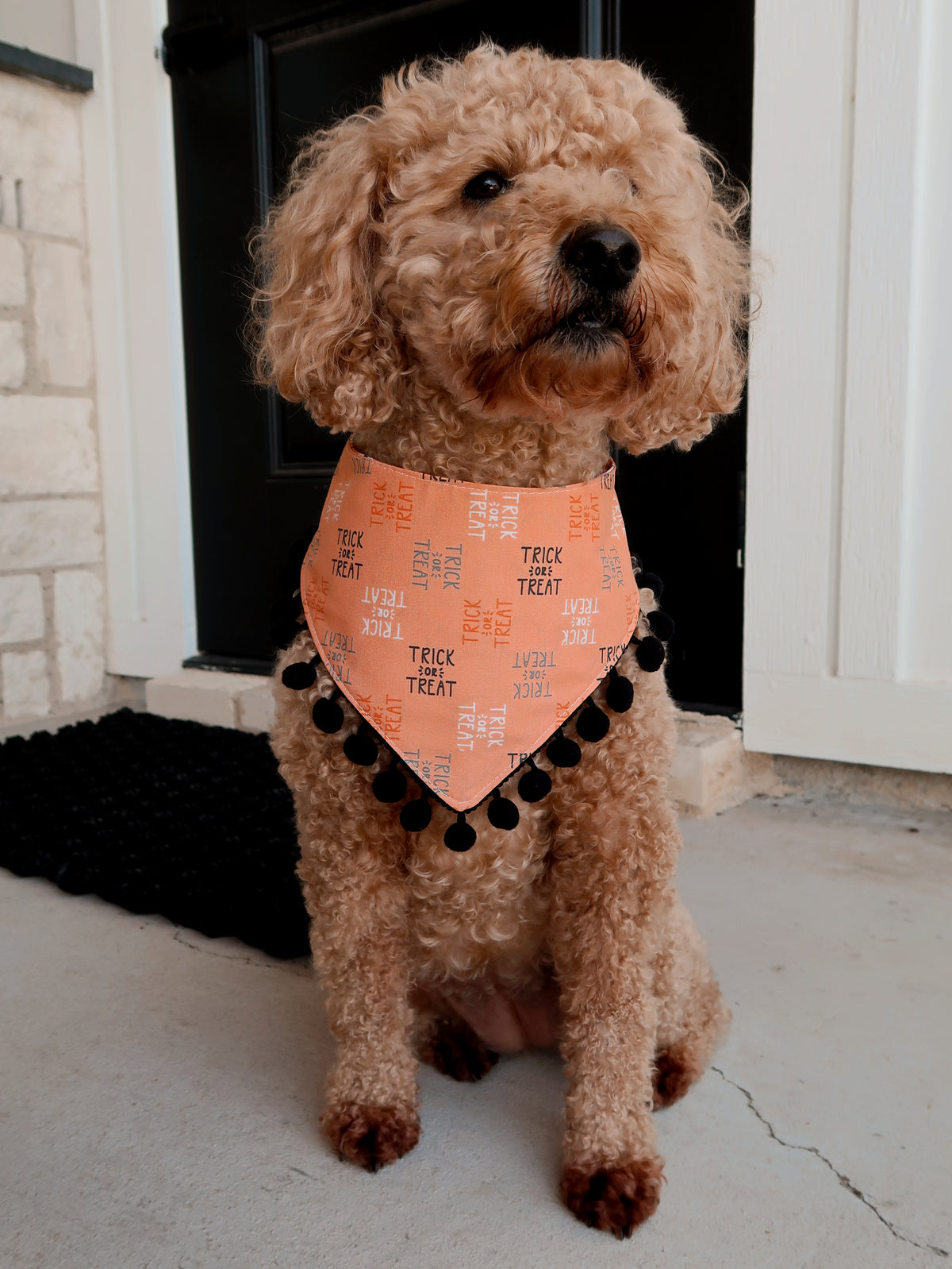 Trick or Treat Dog Bandana