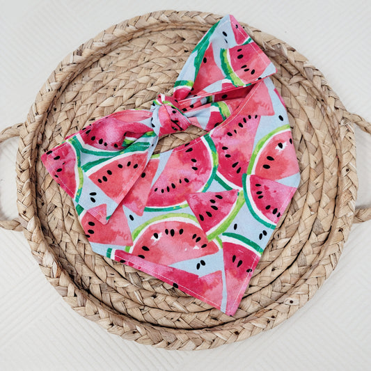 Watermelon Dog Bandana