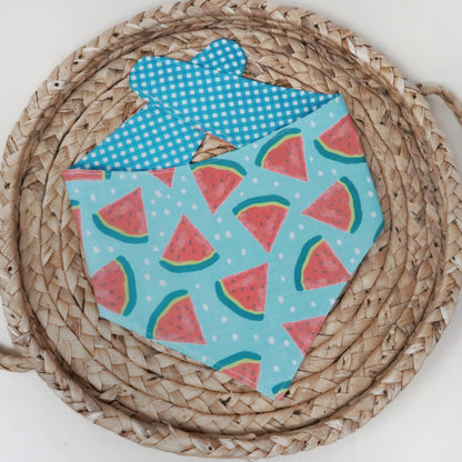 Watermelon Dog Bandana