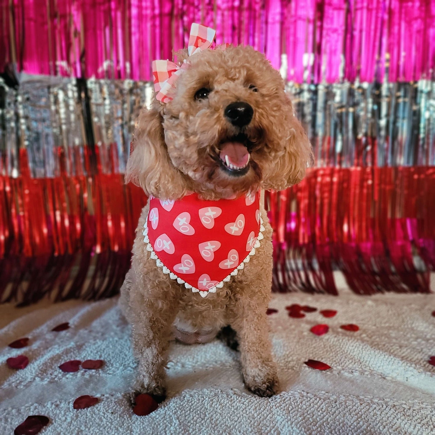 XO Heart Valentine's Day Tie On or Snap On Dog Bandana