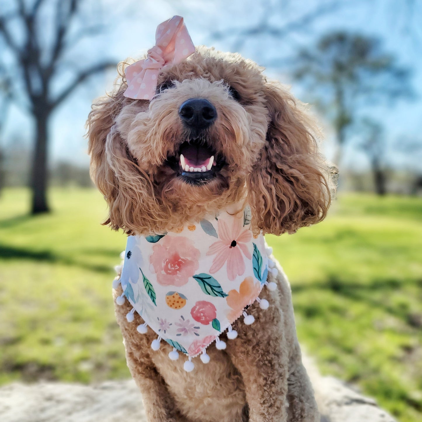 Spring Floral Dog Bandana
