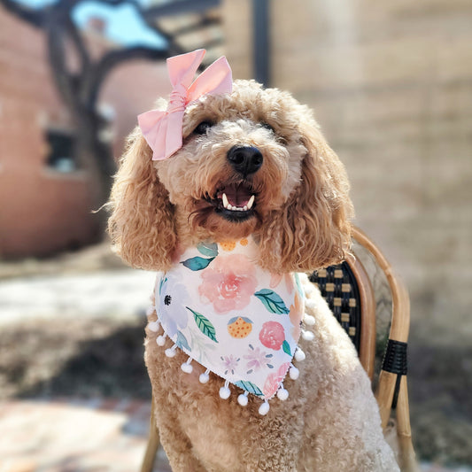 Spring Floral Dog Bandana