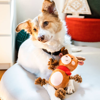 Reindeer Plush Rope Dog Toy